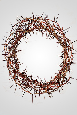 Crown of Thorns, 24 Diameter (Style 2780-24) – North Star Brands
